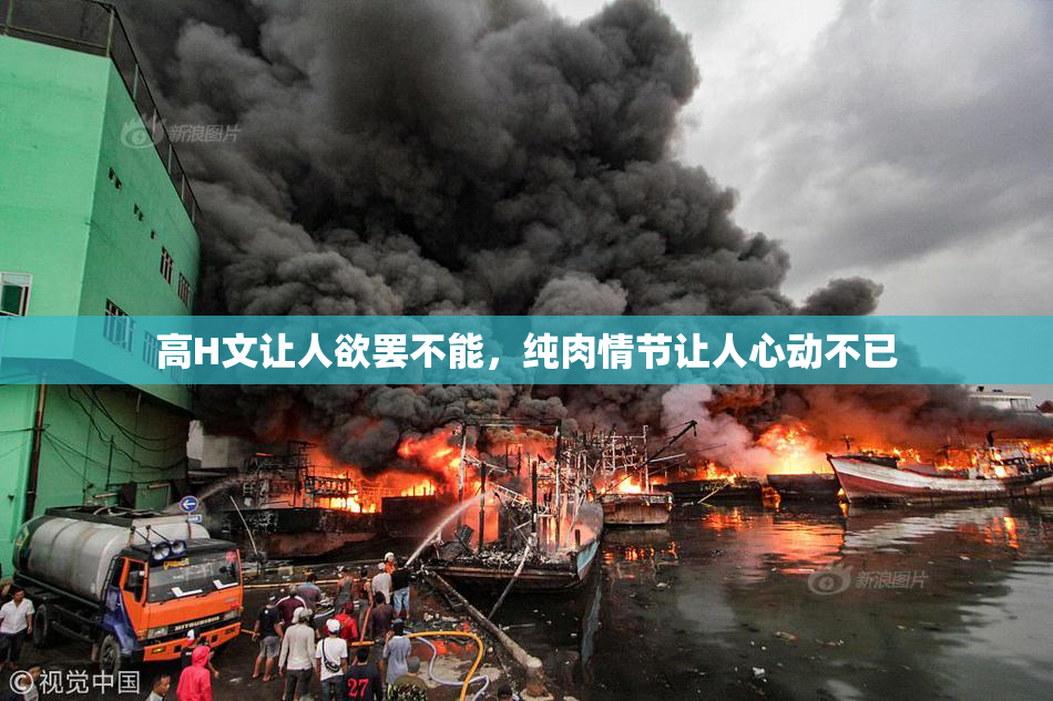 高H文让人欲罢不能，纯肉情节让人心动不已