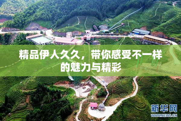 精品伊人久久，带你感受不一样的魅力与精彩