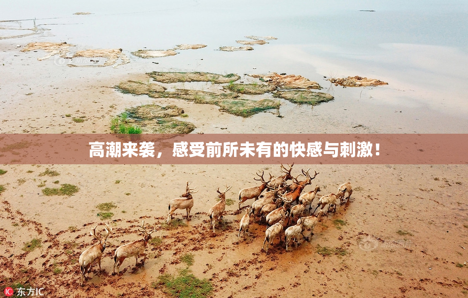 高潮来袭，感受前所未有的快感与刺激！
