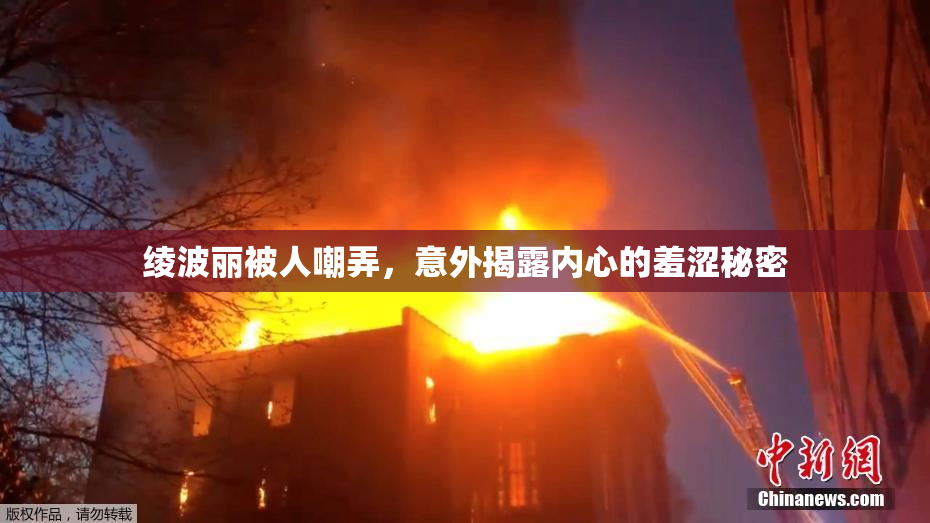 绫波丽被人嘲弄，意外揭露内心的羞涩秘密