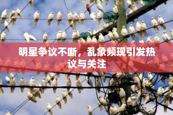 明星争议不断，乱象频现引发热议与关注
