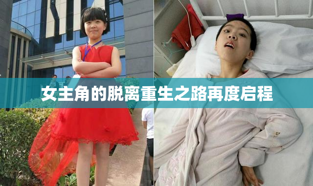 女主角的脱离重生之路再度启程