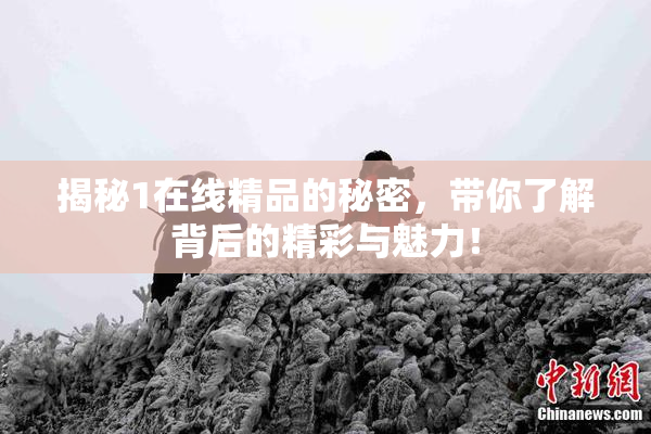 揭秘1在线精品的秘密，带你了解背后的精彩与魅力！