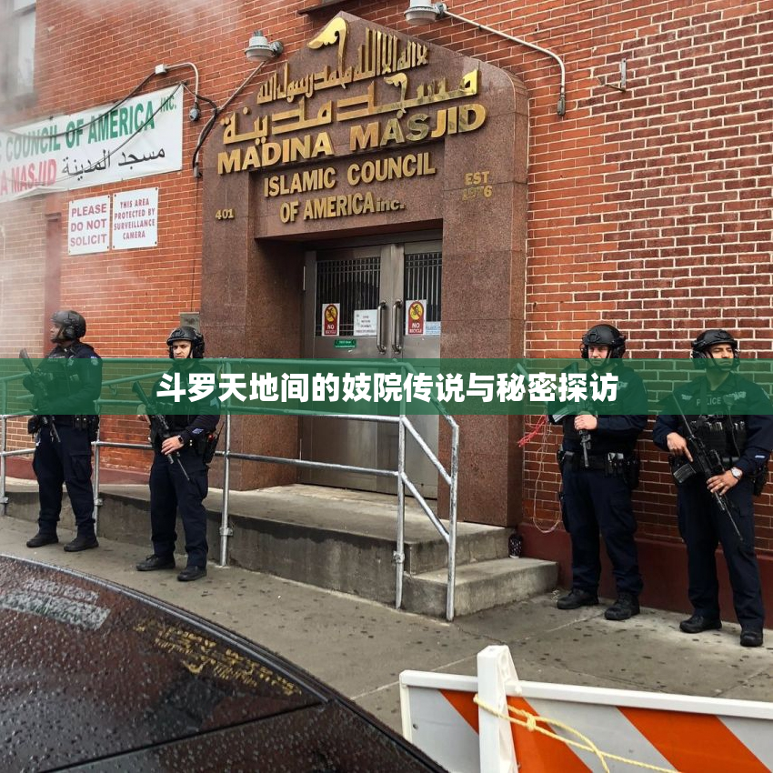 斗罗天地间的妓院传说与秘密探访
