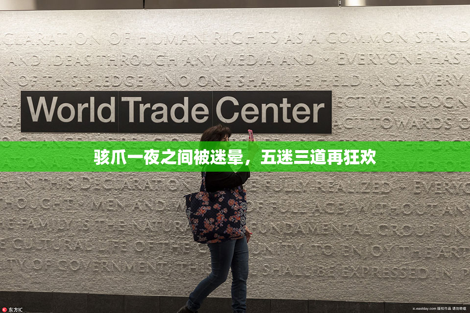 骇爪一夜之间被迷晕，五迷三道再狂欢