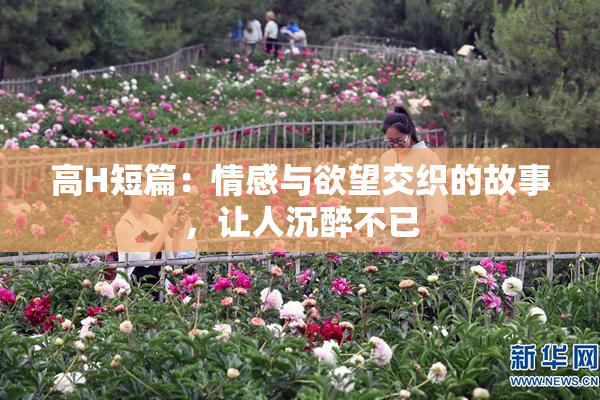 高H短篇：情感与欲望交织的故事，让人沉醉不已