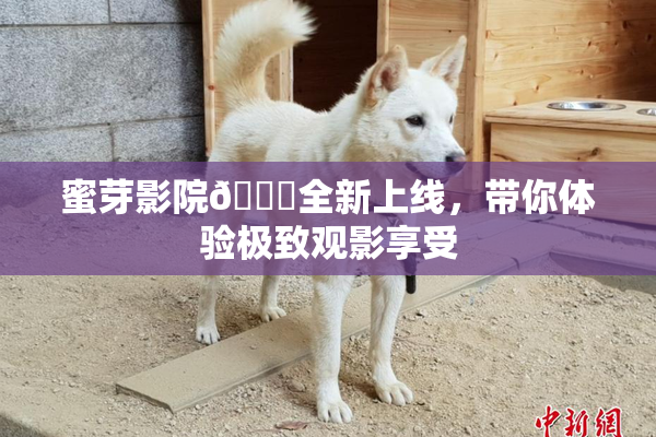 蜜芽影院🔞全新上线，带你体验极致观影享受