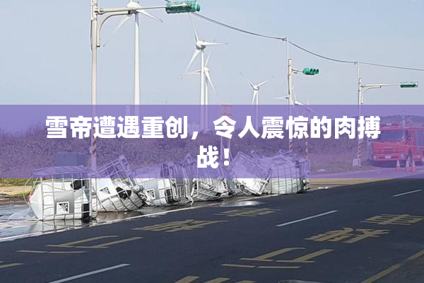 雪帝遭遇重创，令人震惊的肉搏战！
