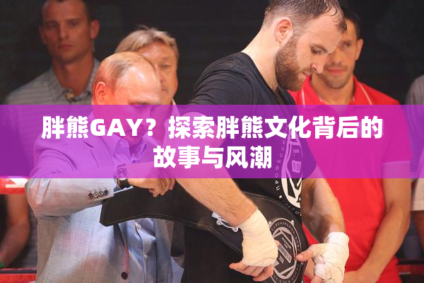 胖熊GAY？探索胖熊文化背后的故事与风潮