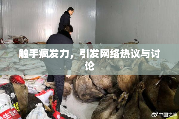 触手疯发力，引发网络热议与讨论