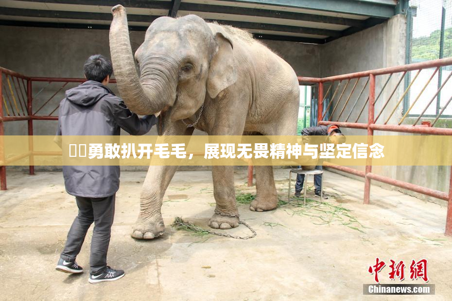 妺妺勇敢扒开毛毛，展现无畏精神与坚定信念