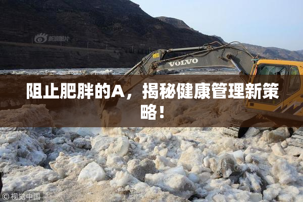 阻止肥胖的A，揭秘健康管理新策略！