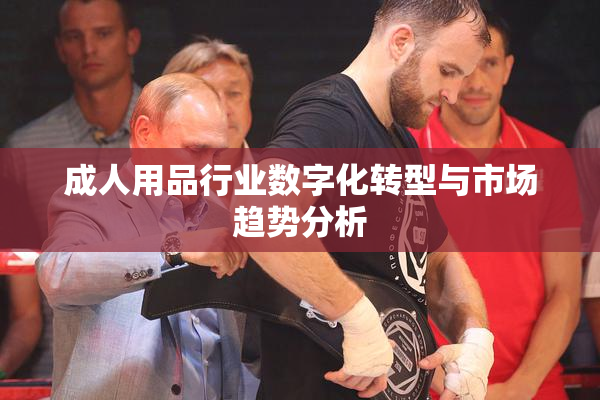 成人用品行业数字化转型与市场趋势分析
