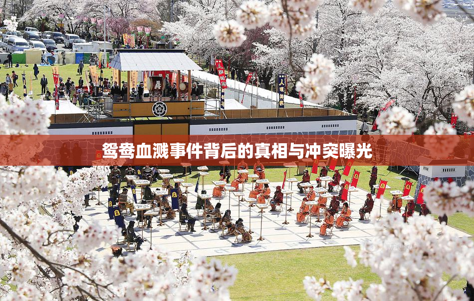 鸳鸯血溅事件背后的真相与冲突曝光