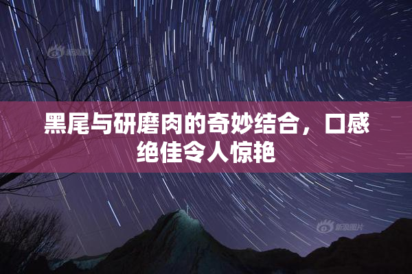 黑尾与研磨肉的奇妙结合，口感绝佳令人惊艳