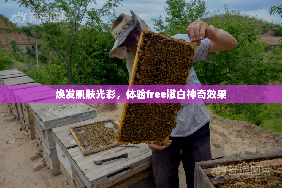 焕发肌肤光彩，体验free嫩白神奇效果