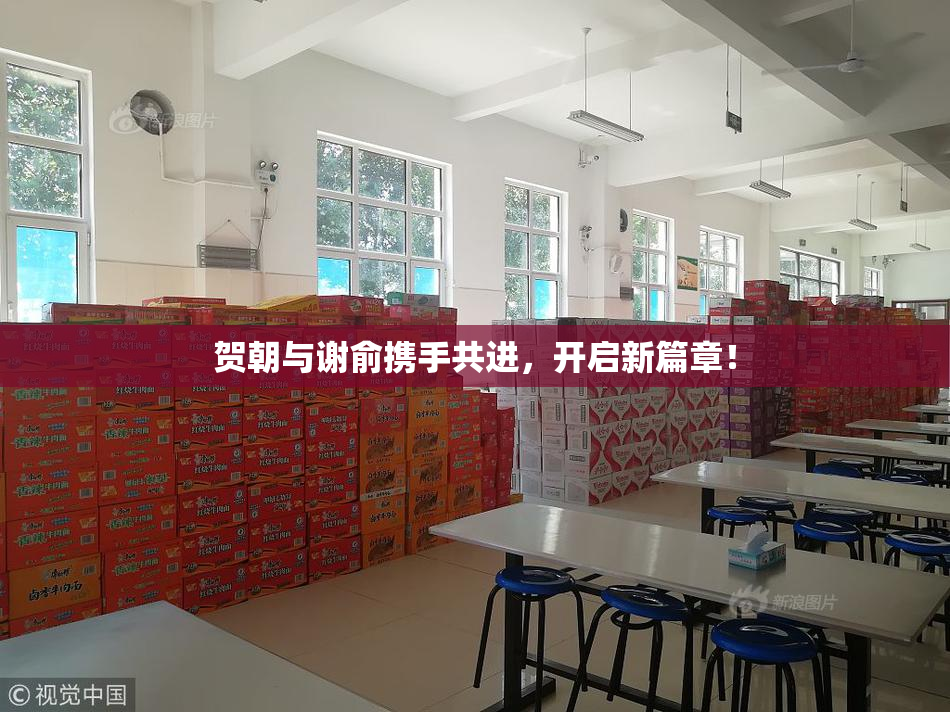 贺朝与谢俞携手共进，开启新篇章！