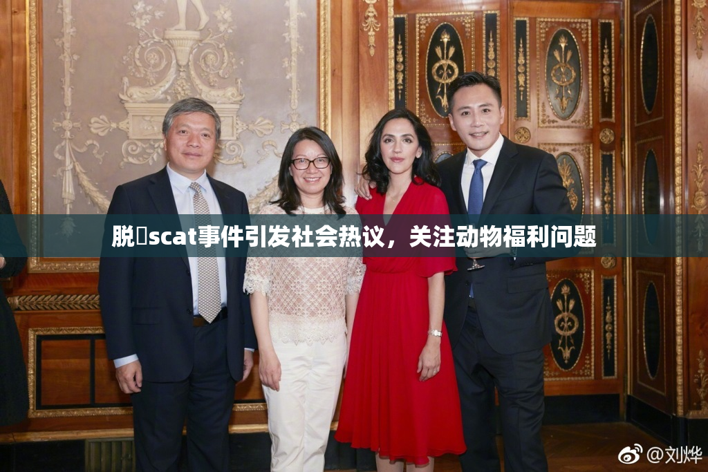 脱糞scat事件引发社会热议，关注动物福利问题