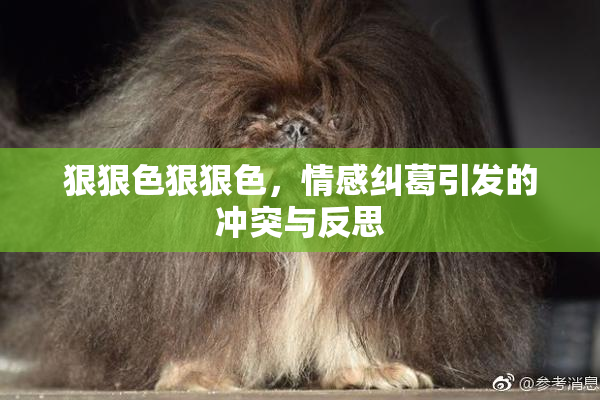 狠狠色狠狠色，情感纠葛引发的冲突与反思
