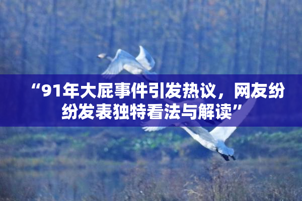 “91年大屁事件引发热议，网友纷纷发表独特看法与解读”