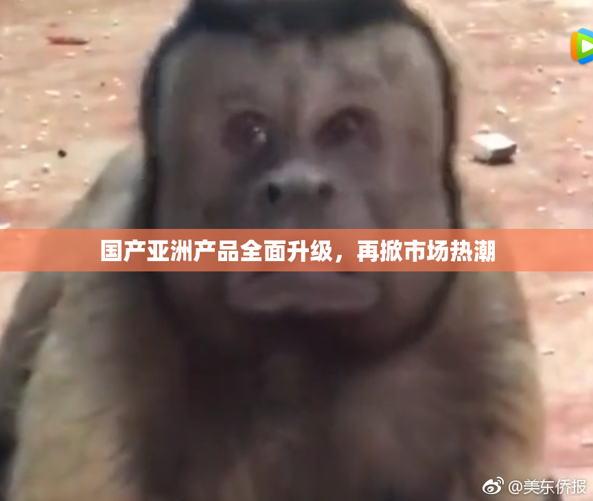 国产亚洲产品全面升级，再掀市场热潮