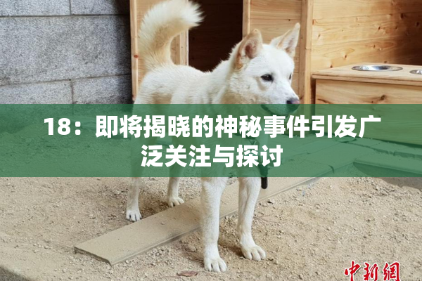 18：即将揭晓的神秘事件引发广泛关注与探讨