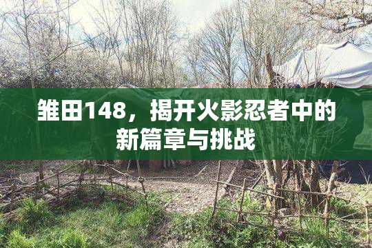 雏田148，揭开火影忍者中的新篇章与挑战