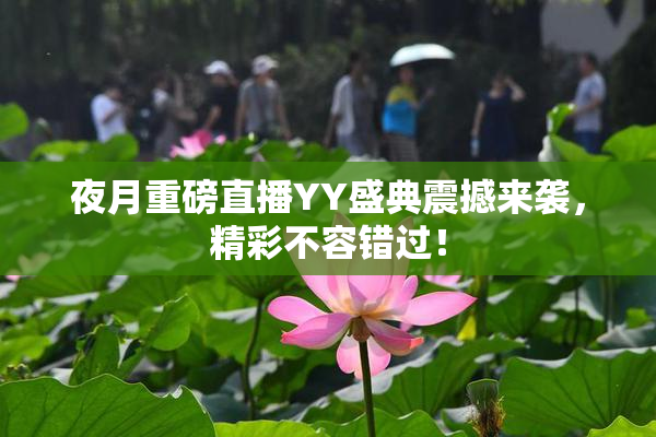 夜月重磅直播YY盛典震撼来袭，精彩不容错过！