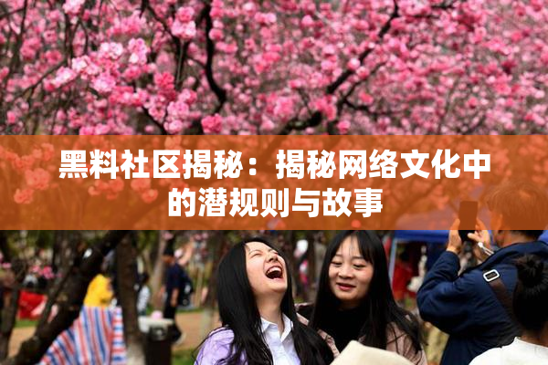 黑料社区揭秘：揭秘网络文化中的潜规则与故事