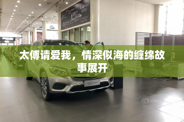 太傅请爱我，情深似海的缠绵故事展开