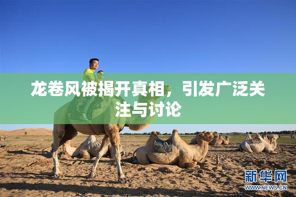 龙卷风被揭开真相，引发广泛关注与讨论