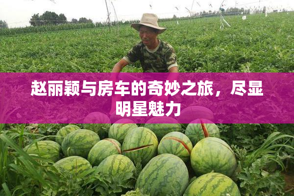 赵丽颖与房车的奇妙之旅，尽显明星魅力