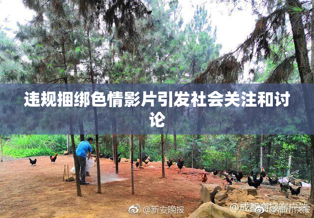 违规捆绑色情影片引发社会关注和讨论