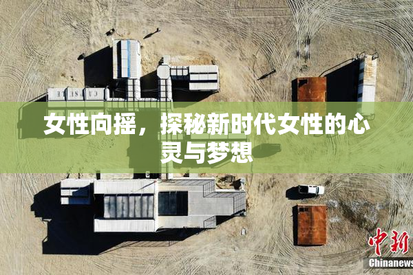 女性向摇，探秘新时代女性的心灵与梦想