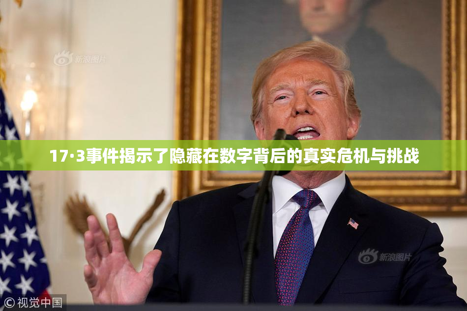 17·3事件揭示了隐藏在数字背后的真实危机与挑战