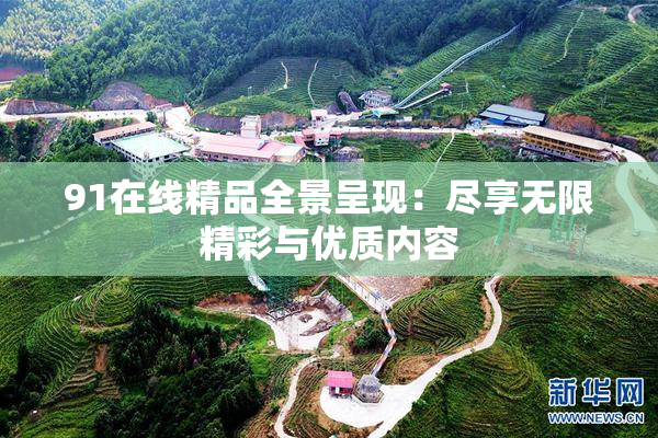 91在线精品全景呈现：尽享无限精彩与优质内容