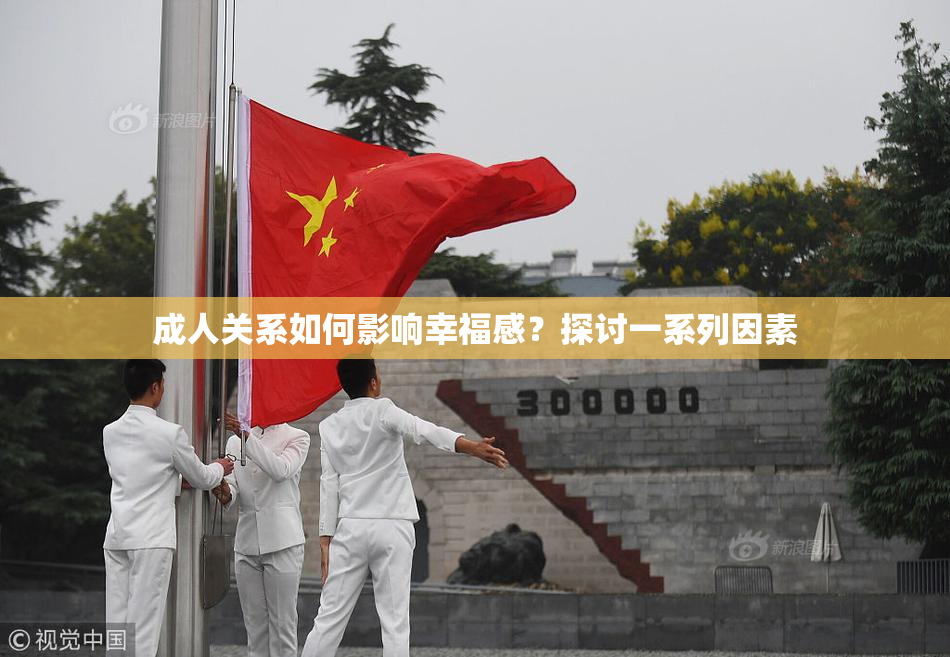 成人关系如何影响幸福感？探讨一系列因素