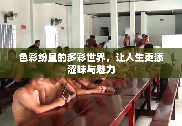 色彩纷呈的多彩世界，让人生更添涩味与魅力