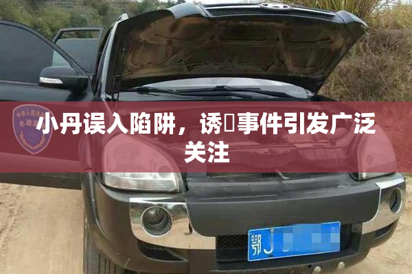 小丹误入陷阱，诱奷事件引发广泛关注