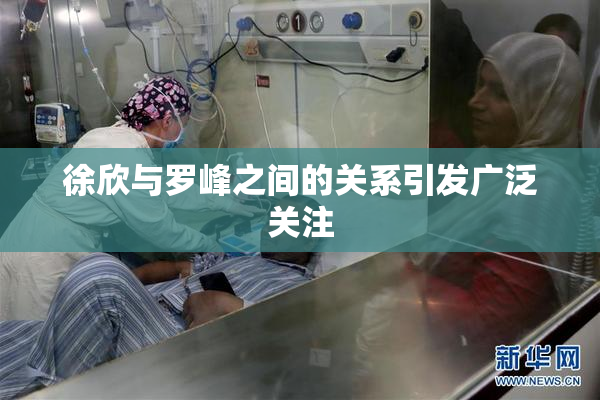徐欣与罗峰之间的关系引发广泛关注