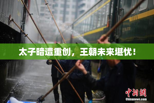 太子暗遭重创，王朝未来堪忧！