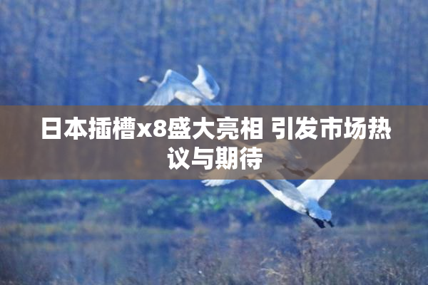 日本插槽x8盛大亮相 引发市场热议与期待