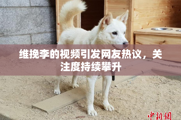 维挽李的视频引发网友热议，关注度持续攀升
