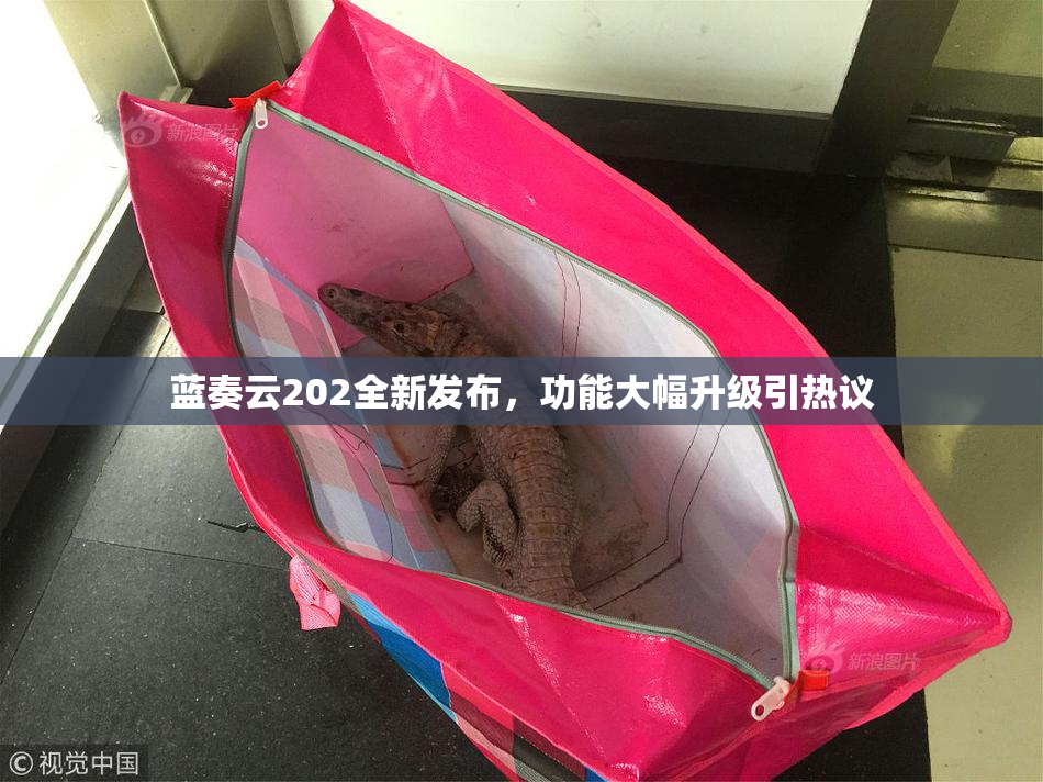 蓝奏云202全新发布，功能大幅升级引热议