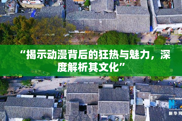 “揭示动漫背后的狂热与魅力，深度解析其文化”