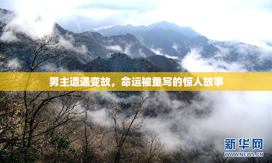 男主遭遇变故，命运被重写的惊人故事