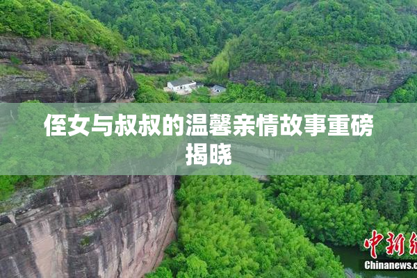 侄女与叔叔的温馨亲情故事重磅揭晓