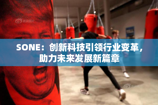 SONE：创新科技引领行业变革，助力未来发展新篇章