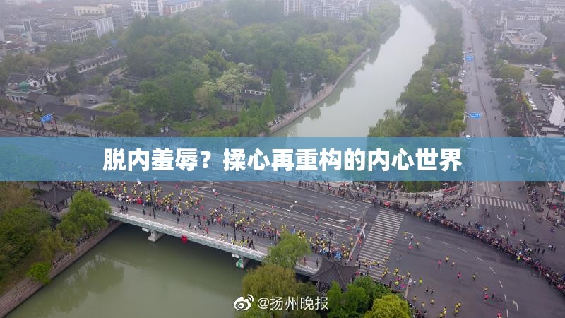 脱内羞辱？揉心再重构的内心世界