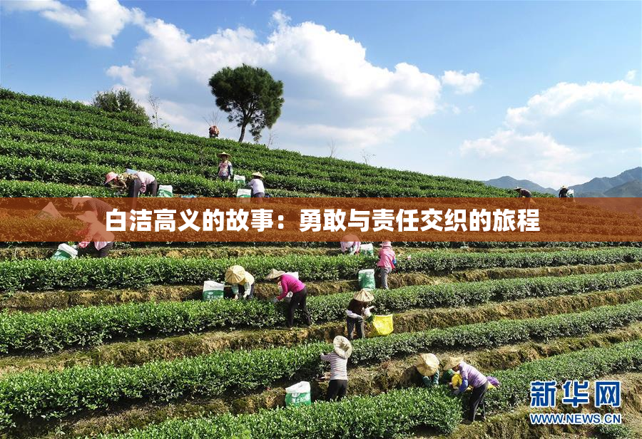 白洁高义的故事：勇敢与责任交织的旅程